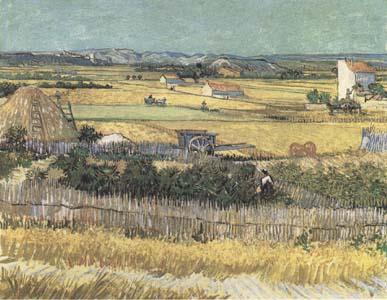 Vincent Van Gogh Harvest at La Crau,with Montmajour in the Background (Blue Cart) (mk09) china oil painting image